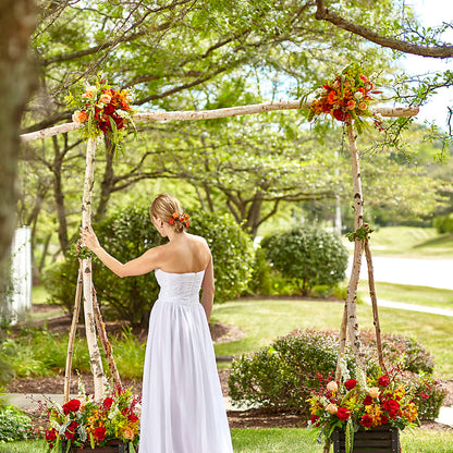 Arbor of Love Archway –  Waddington Blooms, Waddington NY
