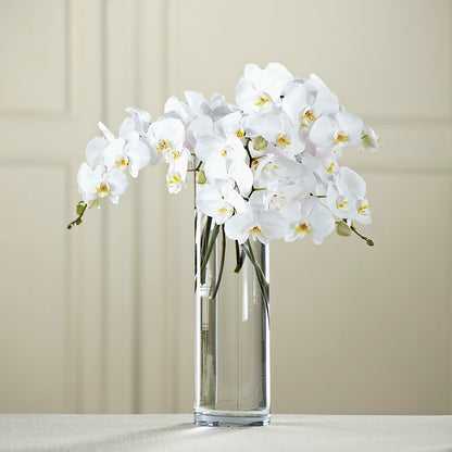 White Phalaenopsis Bouquet –  Waddington Blooms, Waddington NY
